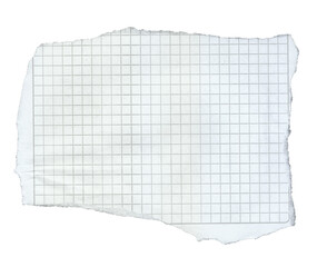 Torn Graph Paper with Grid Pattern and Jagged Edge on Transparent Background