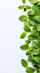 A vertical arrangement of fresh green mint leaves on a white background, creating a natural border on the right side.