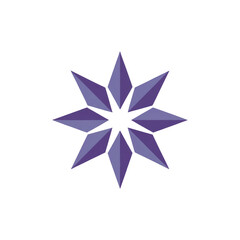 Fototapeta premium vector illustration of a star
