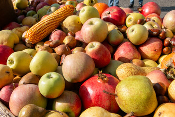 autumn fruit grapes, apples, pomegranates, pears, harvested in October and November