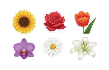 Naklejka premium Elegant floral collection for botanical designs and nature themes