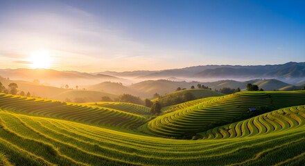 Panoramic view of vibrant green rice terraces bathed in the warm light of a sunrise, with misty valleys and distant mountains.