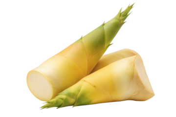 Fresh bamboo shoots ready for culinary creation and healthy eating