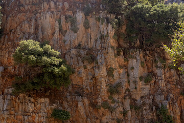 Scenic view of a steep rocky cliff with patches of green vegetation growing on its rugged surface in Crete, Greece. The warm Mediterranean sunlight highlights the textures of the limestone rock