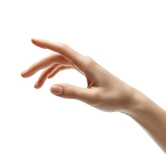 Women's Hands, Human Palm, Hand Gestures Female Fingers, Diverse Skin Tones, white background
