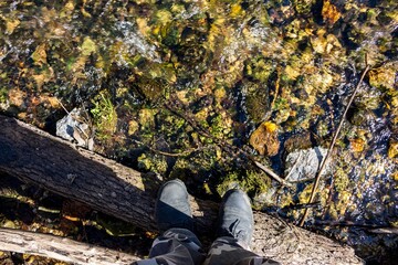 Hiker's boots stand on a fallen log, overlooking a clear, rocky stream. An adventurous perspective of nature's chill vibe