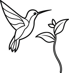 aesthetic hummingbird near flower line art illustration on transparent background