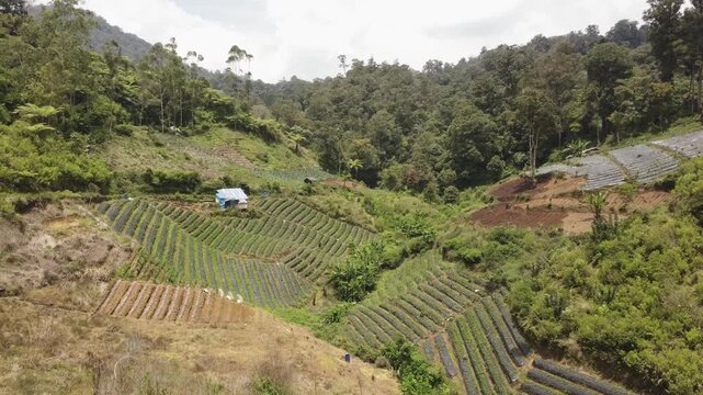 Pintu Rimba Lembah Tengkorak