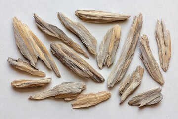 Close-up of scattered, light-colored wood pieces, textured with intricate grain patterns