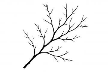 Fototapeta premium Bare tree branch silhouette with many twigs, depicting winter or autumn nature, having a transparent background