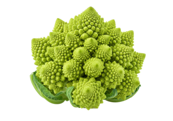 Isolated Romanesco broccoli head, green geometric vegetable with Fibonacci sequence