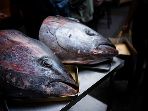 Blue fin tuna head on the market