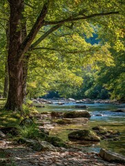 Obraz premium Verdant scene of a river flowing past large trees and rocky shores