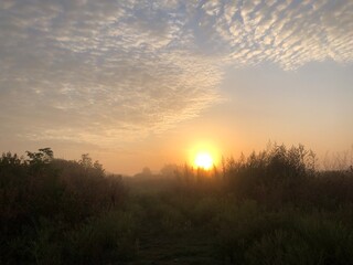 sunrise over the field