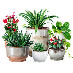  Collection of beautiful plants in ceramic pots isolated on transparent background png 