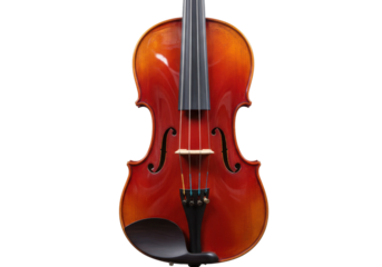 Isolated shiny reddish brown violin with black chinrest for classical orchestra music