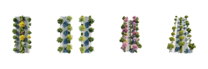Tree-Lined Urban Road Designs Set. Sustainable City Planning And Green Infrastructure Collection Isolated On Transparent Background