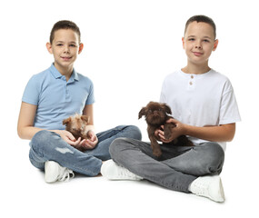 Obraz premium Children with cute Griffon puppies on white background. Domestic pet