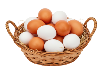 Isolated basket filled with white and brown chicken eggs in organic packaging material