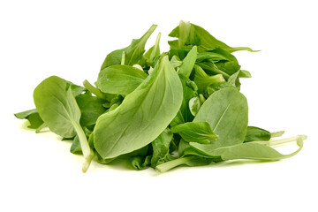 Fresh Lamb's Lettuce Salad, isolated on white background