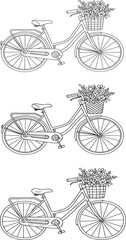 Obraz premium Vintage Bicycle with Flower Basket Vector Set: Retro Cycle Line Art Illustration.