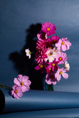 Pink Dahlia and Cosmos mixed bouquet, blue backdrop, vibrant floral arrangement

