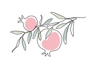 Branch with pomegranates and leaves. Shana Tova. Modern single line art drawing. Continuous line drawing. Vector color illustration.