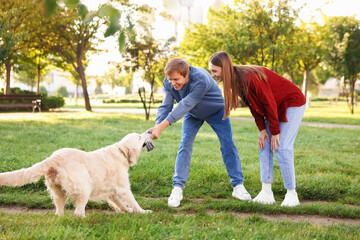 Happy couple playing with their adorable golden retriever dog in park