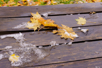 First Snow on a Wooden Bench with Fallen Golden Autumn Leaves