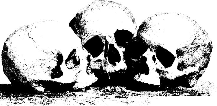 High contrast skull trio in abstract geometry design for artistic projects