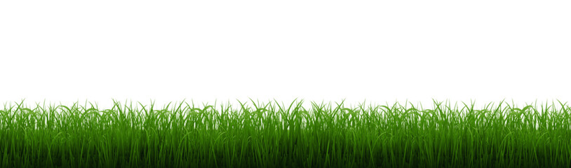 Green Grass Border With Isolated White Background