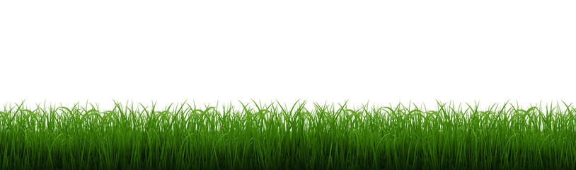 Green Grass Border With Isolated White Background