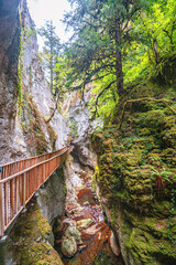 The scenic views of the Horma Canyon (Horma Kanyonu) in the fall season, an amazing place for...