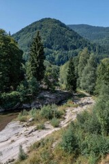 Obraz premium Lush forest scene with mountain backdrop, river in foreground, sunny day