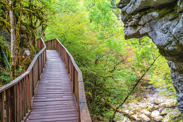 Obraz premium The scenic views of the Horma Canyon (Horma Kanyonu) in the fall season, an amazing place for nature lovers, captivated along the 3,500 m trekking route in the Küre Mountains, Kastamonu, Turkey.