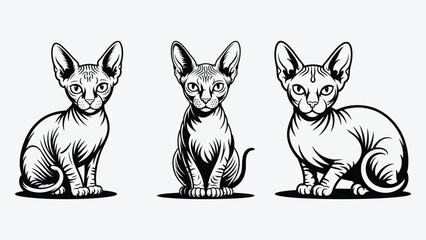 Sphynx Cats, 3 cats staring at front, modern