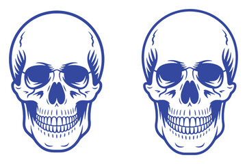 Two Blue Line Art Skulls Facing Forward on White Background
