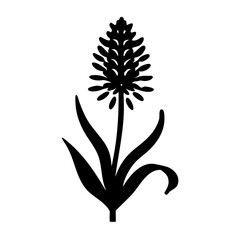 Vector art of a black silhouette of a flowering plant resembling lavender or a spike flower, isolated on a
