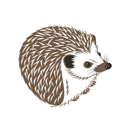 Fototapeta premium Hedgehog illustration