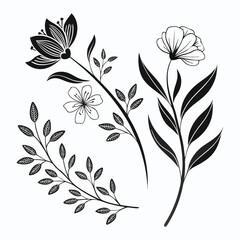 Black and white floral design elements background