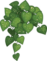 Heart-shaped leaf illustration vector, cascading foliage, green leaves with veins, botanical icons, hanging plant design, nature element set