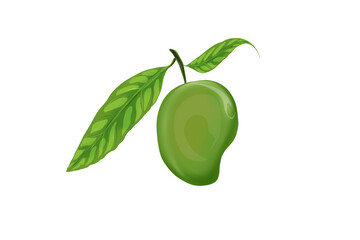 illustration of mango fruit with leaves without background