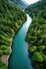 Obraz premium Serene river flowing through lush green forests in a mountainous landscape under cloudy skies