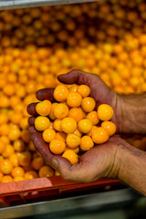 Red grapes fruit for sale