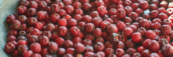 Close-up of sun-dried red hawthorn berries in a rustic metal tray under sunlight.