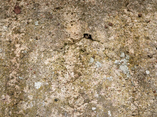 A Richly Textured Surface Adorned with Beautiful Natural Patterns and Varied Colors