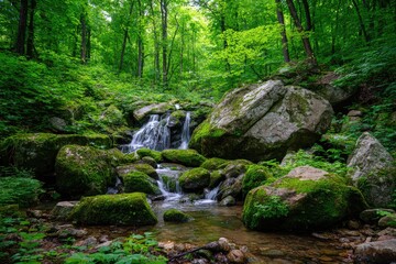 Fototapeta premium Tranquil forest scene of a small waterfall flowing through moss-covered rocks