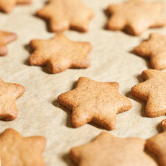 Homemade star-shaped gingerbread cookies on baking sheet.