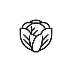 A minimalist line drawing of a cabbage with detailed leaf veins on a plain white background image