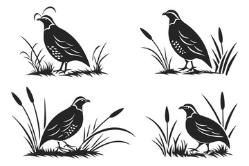 Obraz premium Minimalist quail in grass icon set with eight unique designs